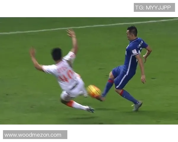 张丽的网球人生：从初学者到职业选手的深度对话与成长历程