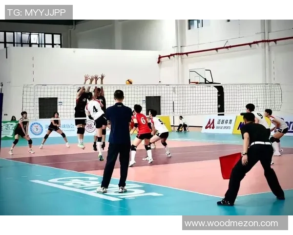 上海排球队在锦标赛中的个人能力展现与战术配合分析