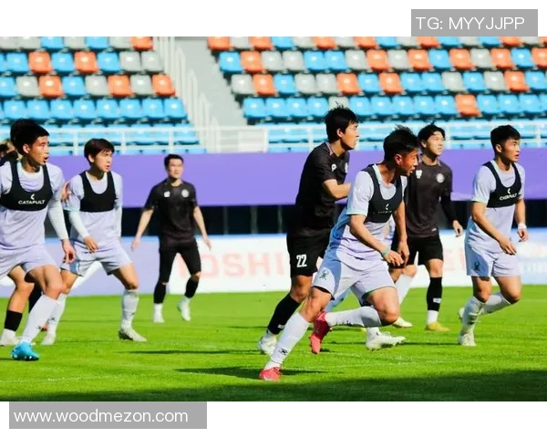 杭州足球队的节奏得失分析与未来发展方向探讨 杭州足球队的节奏得失分析与未来发展方向探讨