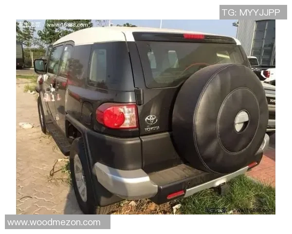 武汉足球队在洲际杯积分榜上以91分稳居第一名，展现强劲实力