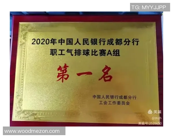 成都排球队实力崛起排球个人能力排行榜揭晓第十名荣誉 成都排球队实力崛起排球个人能力排行榜揭晓第十名荣誉