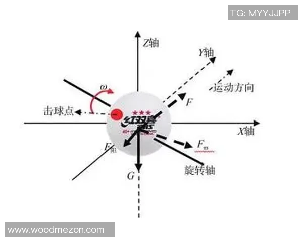 广州乒乓球队的崛起与力量探讨聚焦乒乓球运动的未来发展