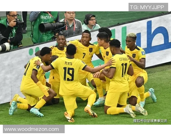 广州羽毛球队在世界杯预选赛中的实力分析与表现点评