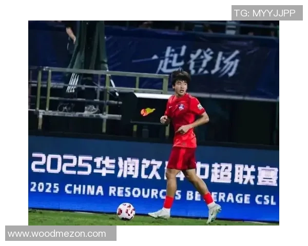 昔日中国足球明星因失误引发争议回顾他们的职业生涯与教训