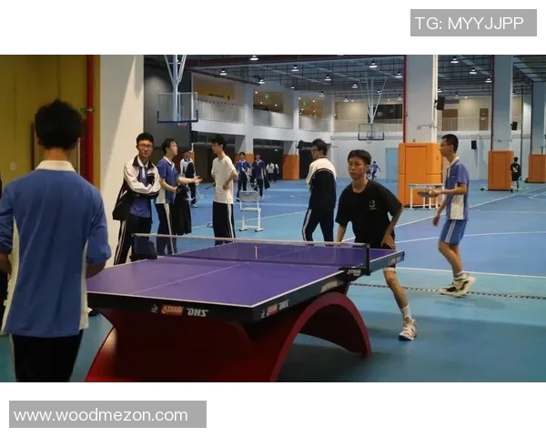 深圳乒乓球队比赛经验分享与成长之路的深度探讨 深圳乒乓球队比赛经验分享与成长之路的深度探讨