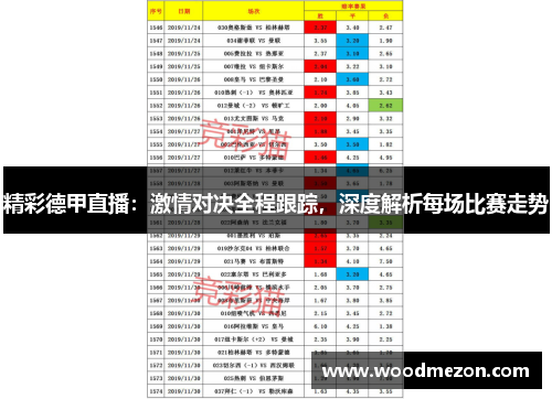 精彩德甲直播：激情对决全程跟踪，深度解析每场比赛走势