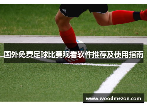 国外免费足球比赛观看软件推荐及使用指南