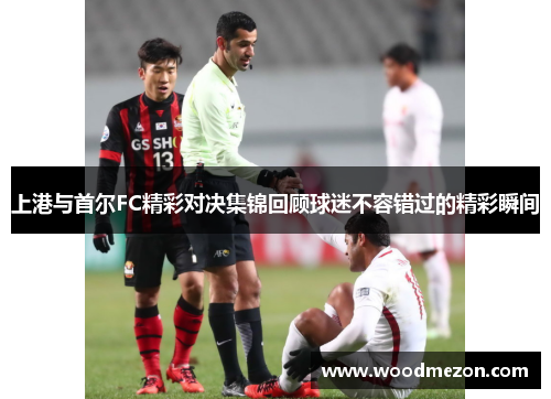 上港与首尔FC精彩对决集锦回顾球迷不容错过的精彩瞬间